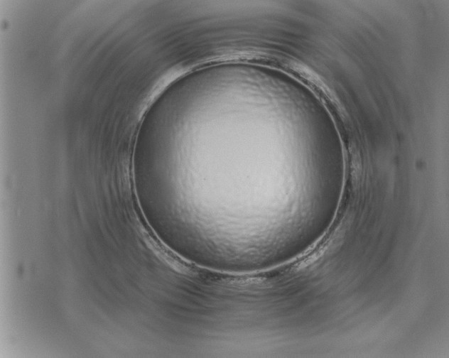 X0000071831417200607141649