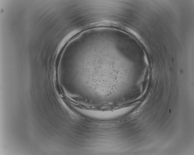 X0000071831418200607141649