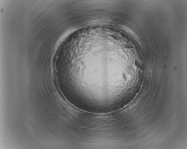 X0000071831419200607141649