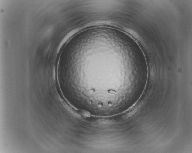 X0000071831420200607141649