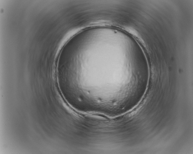 X0000071831421200607141649