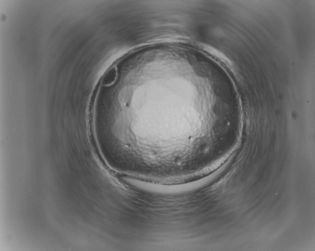 X0000071831423200607141649