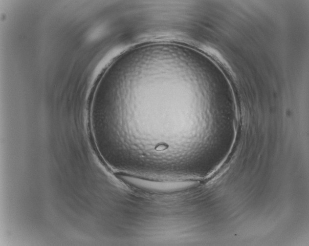 X0000071831424200607141649