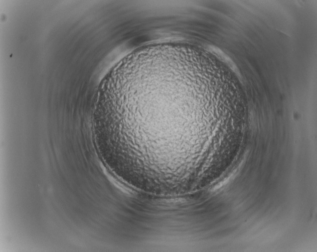 X0000071831425200607141649