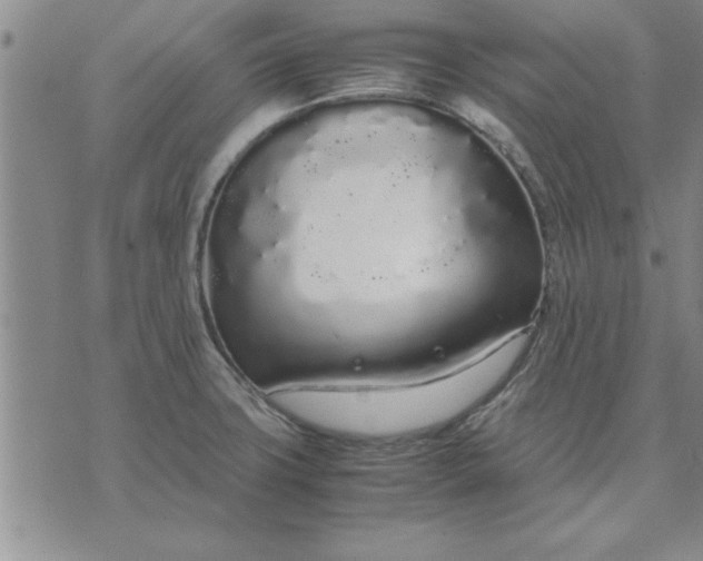 X0000071831427200607141649