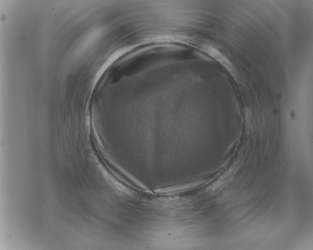 X0000071831428200607141649