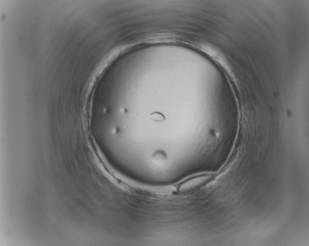 X0000071831429200607141649