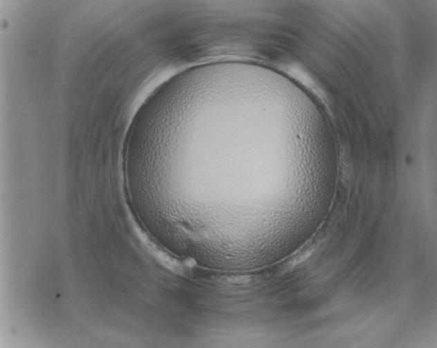 X0000071831431200607141649