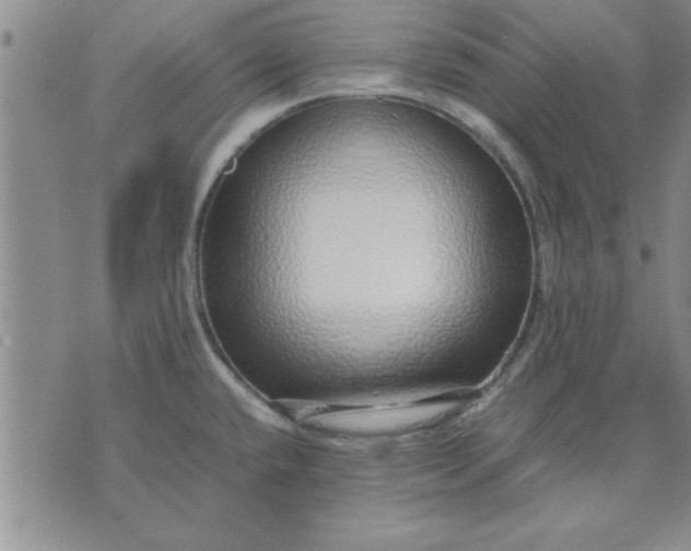 X0000071831432200607141649