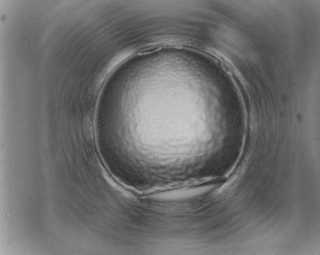 X0000071831433200607141649