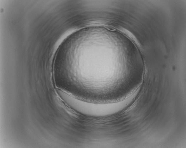 X0000071831435200607141649