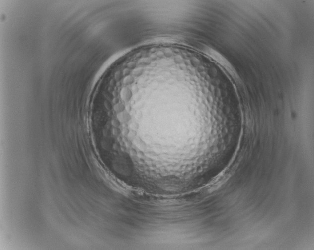 X0000071831436200607141649