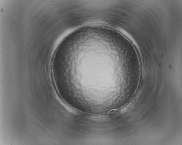 X0000071831437200607141649