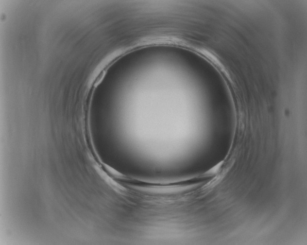 X0000071831438200607141649