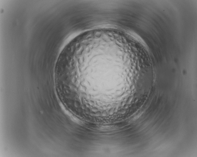 X0000071831439200607141649