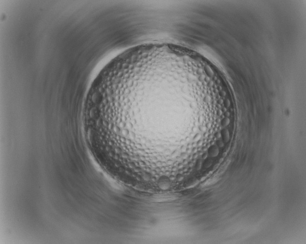 X0000071831440200607141649