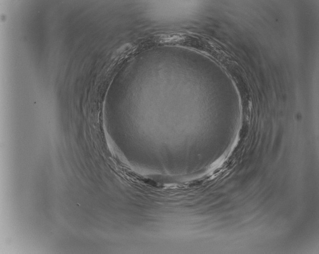 X0000071831441200607141648