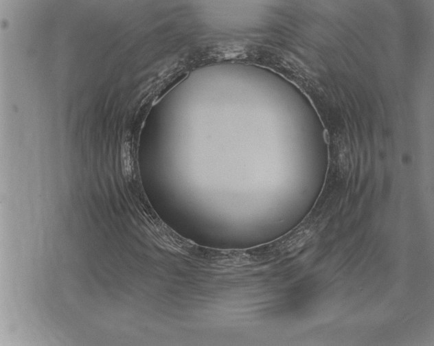 X0000071831442200607141648