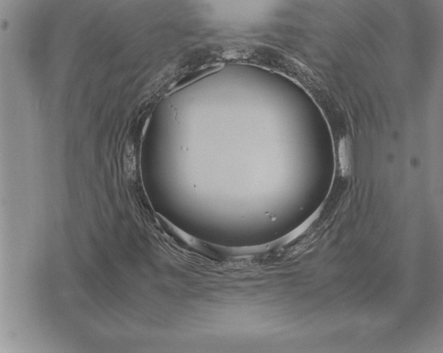 X0000071831443200607141648