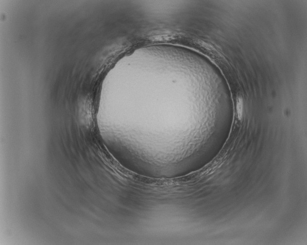 X0000071831444200607141648