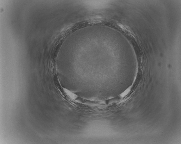 X0000071831445200607141648