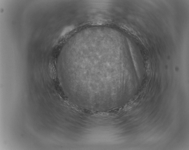 X0000071831446200607141648