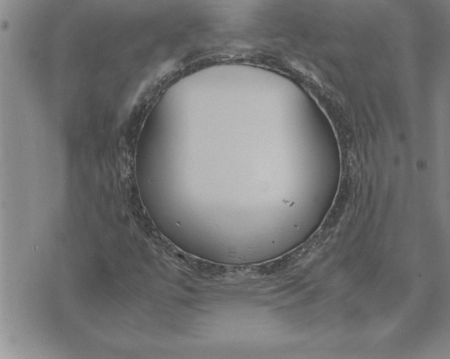 X0000071831447200607141648