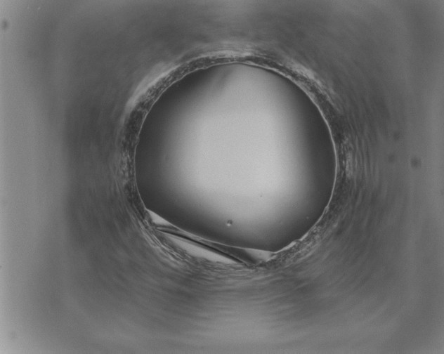 X0000071831448200607141648