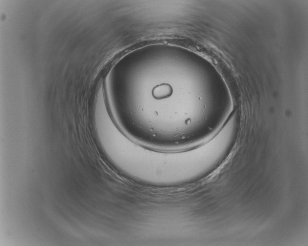 X0000071831449200607141648