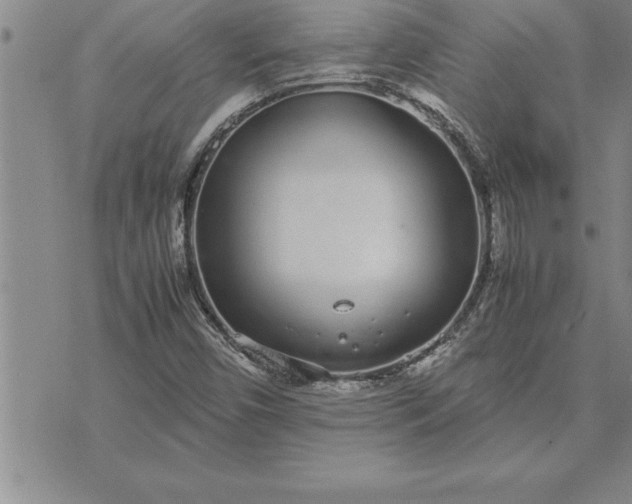 X0000071831450200607141648