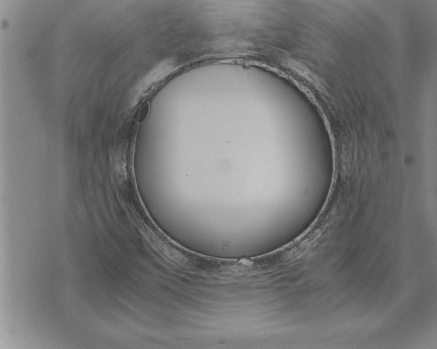 X0000071831451200607141648