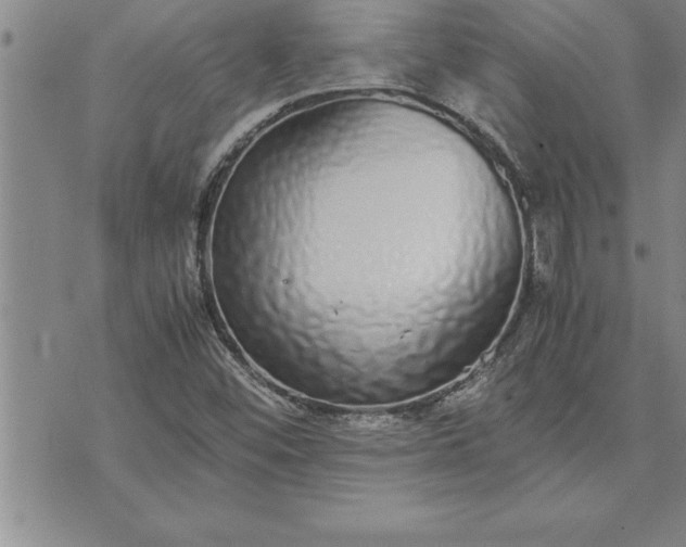 X0000071831452200607141648