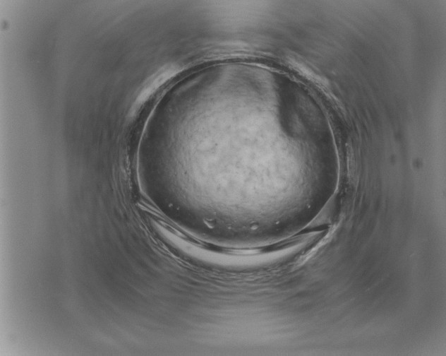 X0000071831453200607141648