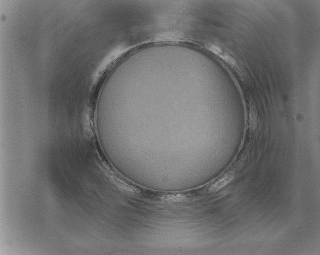 X0000071831454200607141648