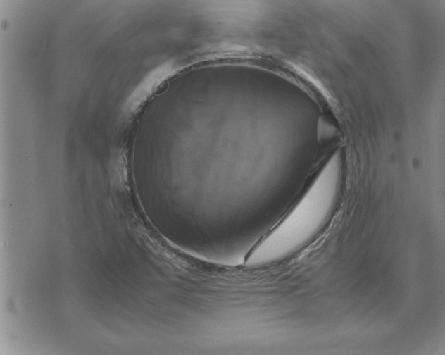 X0000071831455200607141648