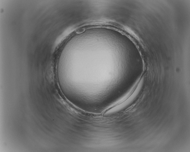 X0000071831456200607141648