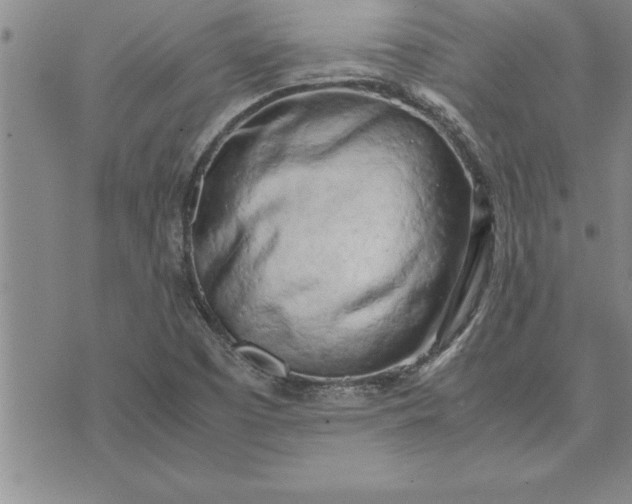 X0000071831457200607141648