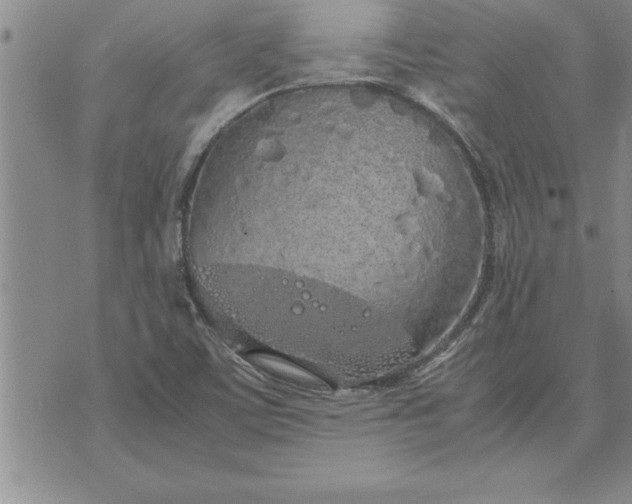 X0000071831459200607141648