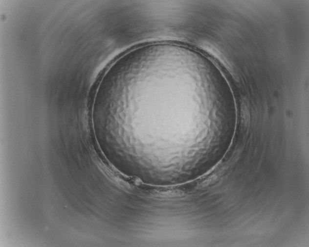 X0000071831460200607141648