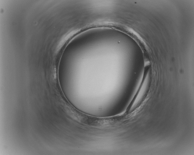 X0000071831461200607141648