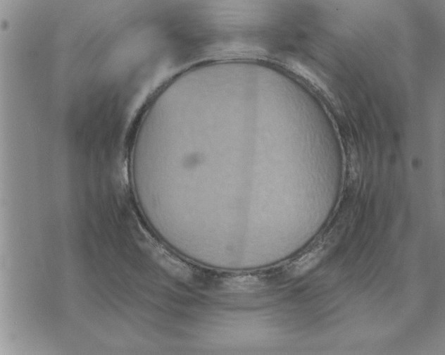 X0000071831462200607141648