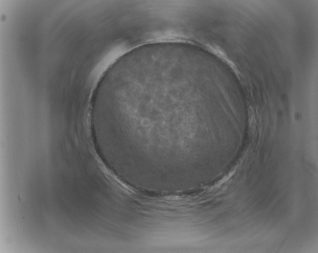 X0000071831463200607141648