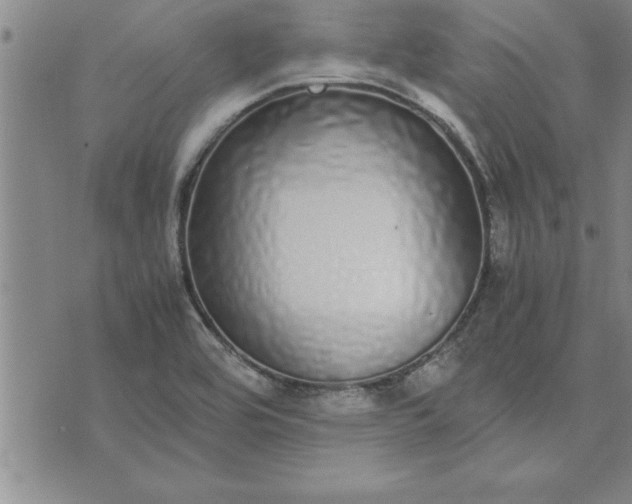 X0000071831464200607141648