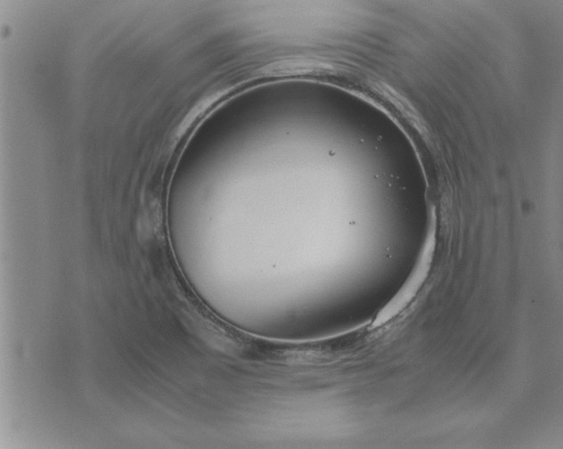 X0000071831465200607141648