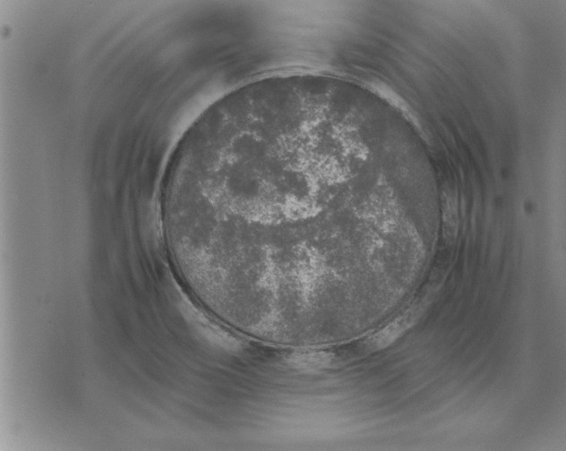 X0000071831466200607141648