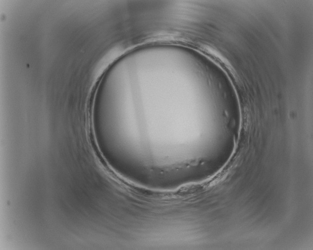 X0000071831467200607141648