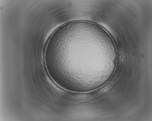 X0000071831468200607141648