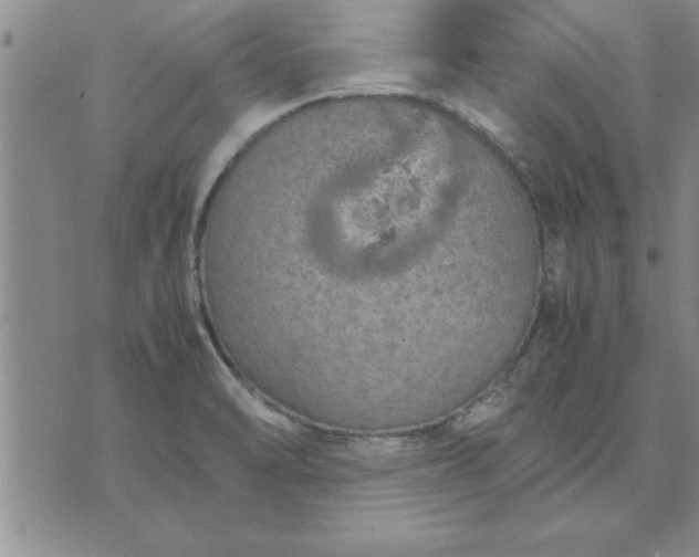 X0000071831470200607141648