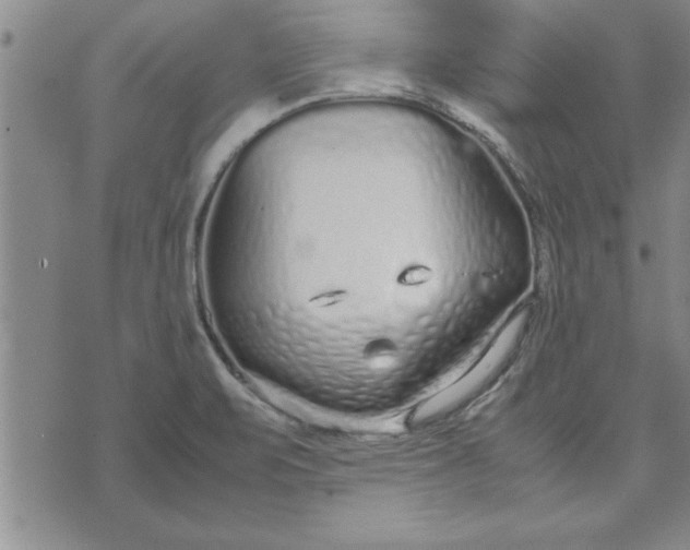 X0000071831471200607141648