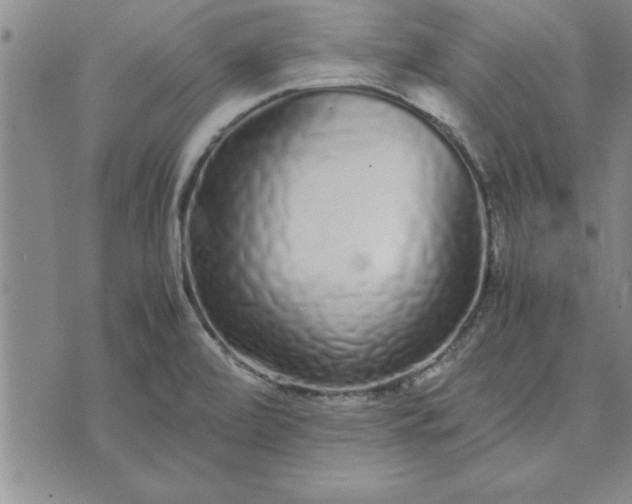 X0000071831472200607141648